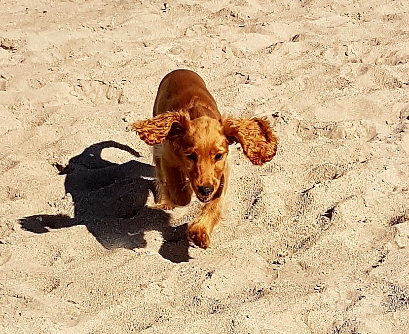 20180429_170813.jpg