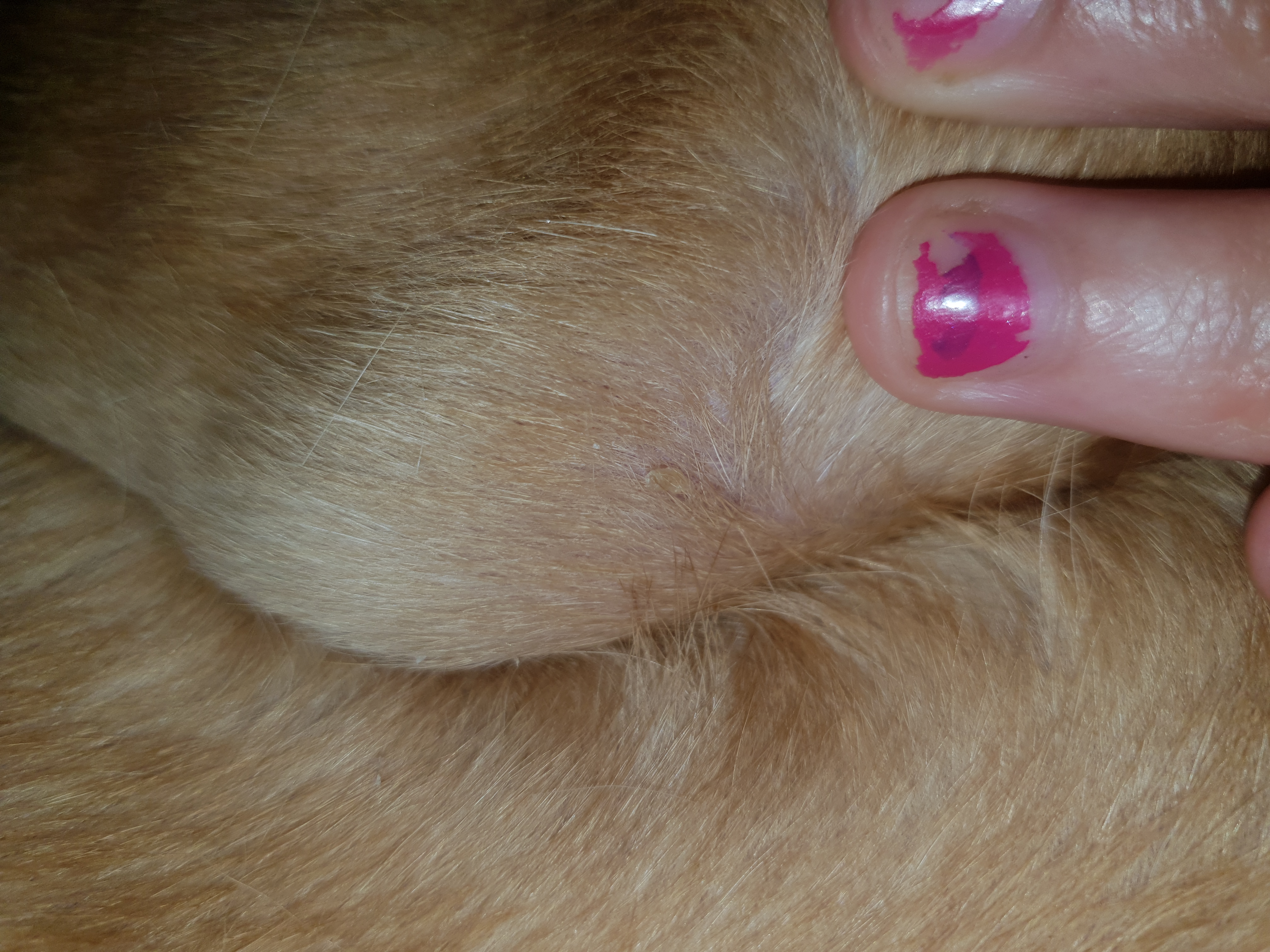 20180727_185823.jpg