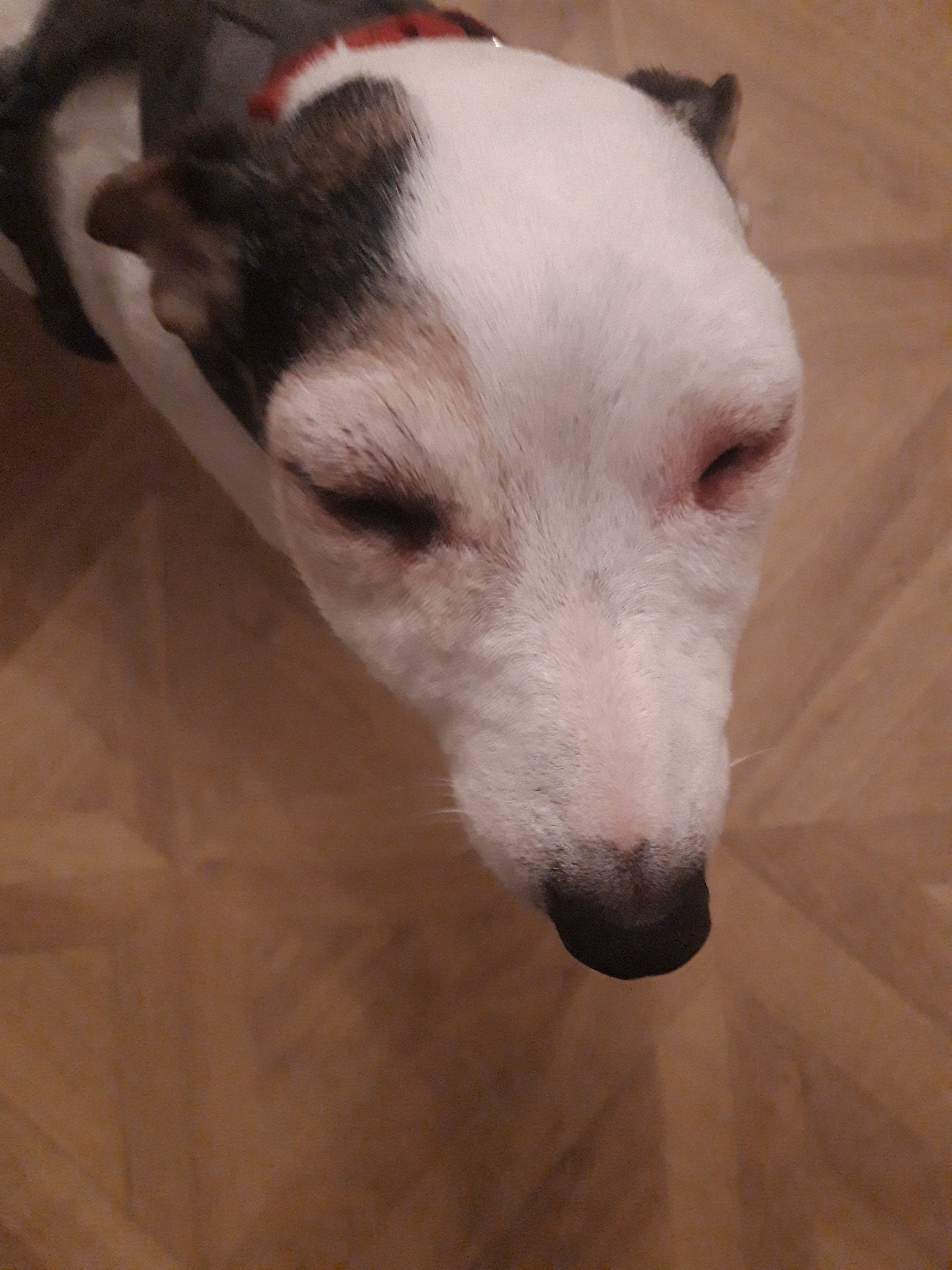 20220112_041349.jpg