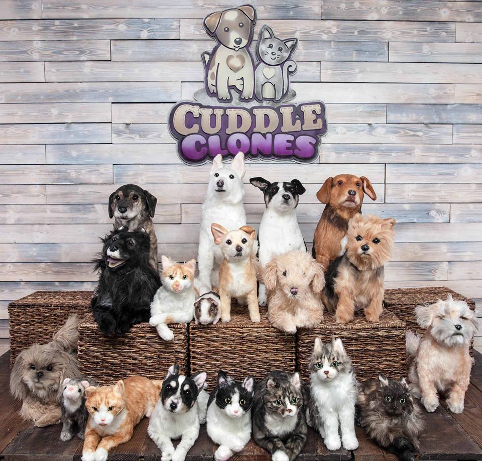 Cuddle on sale clones uk