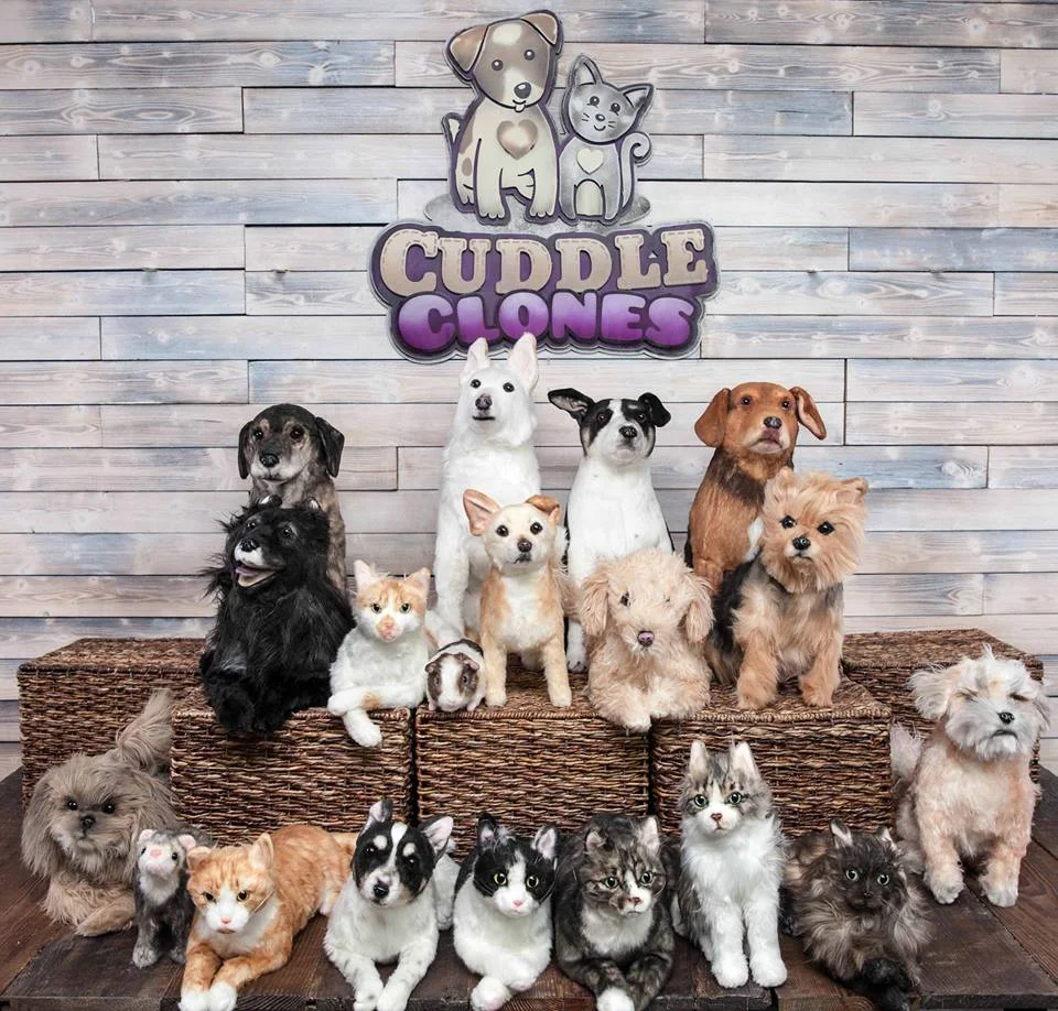 Resource 'Cuddle Clones'