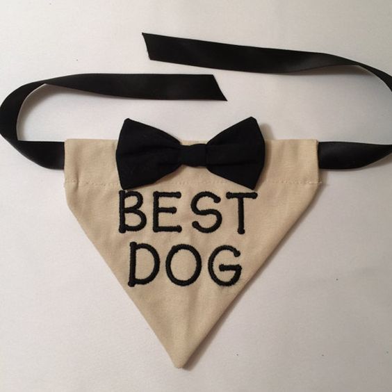 best dog bandana.jpg
