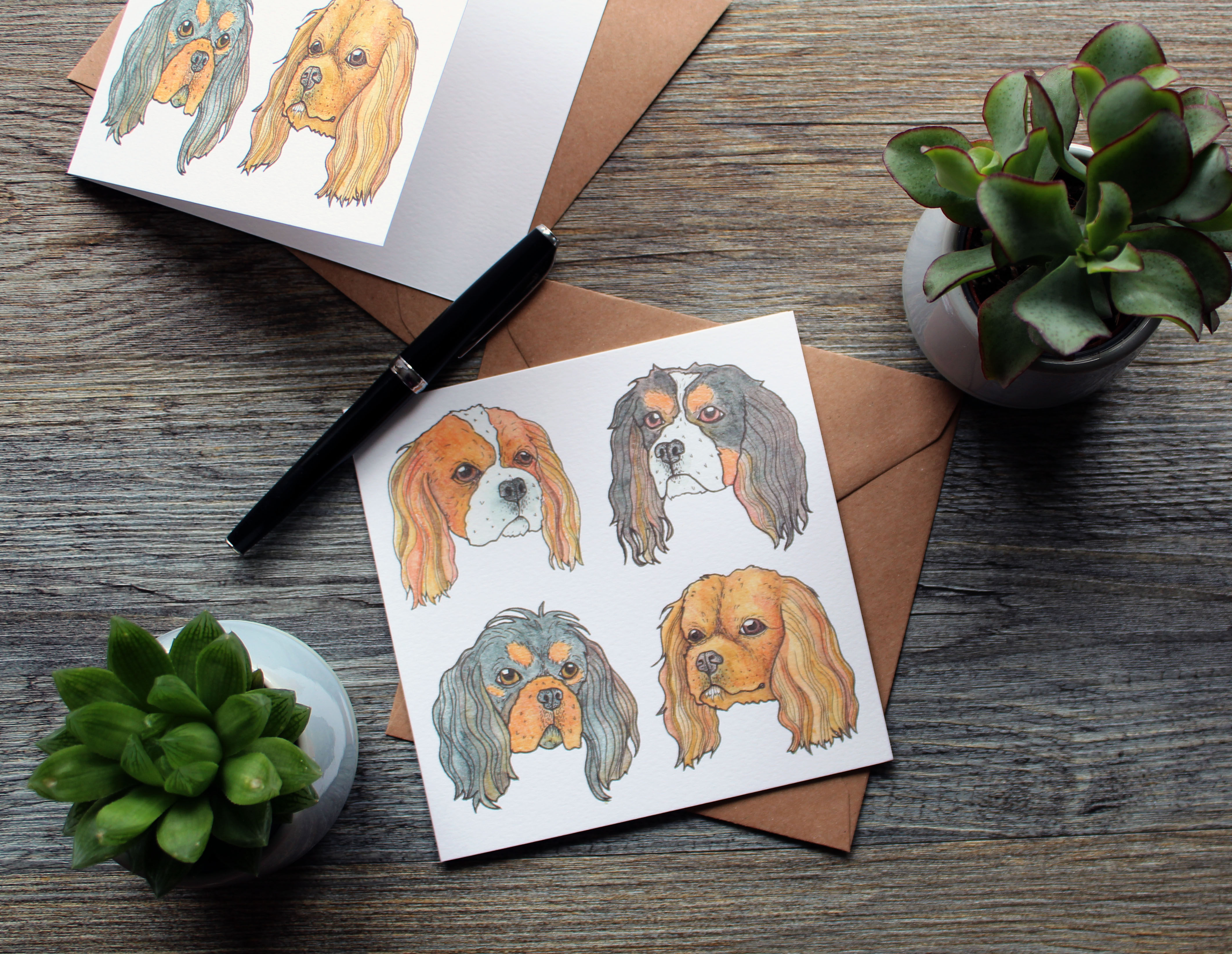 Cavalier King Charles 2.jpg