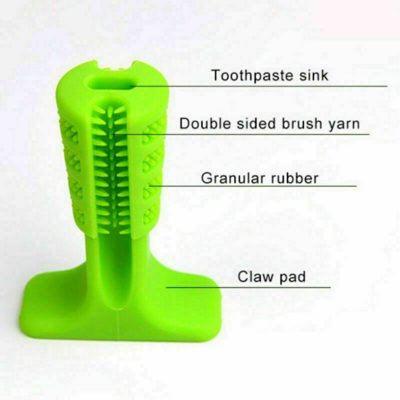 Dog chew toothbrush.jpg