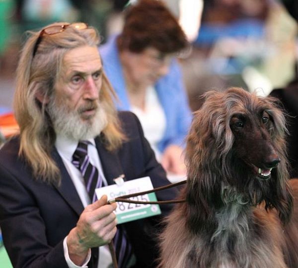dogslooklikeowners.jpg