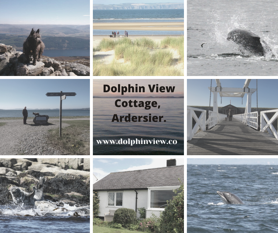 DolphinViewCottage.png