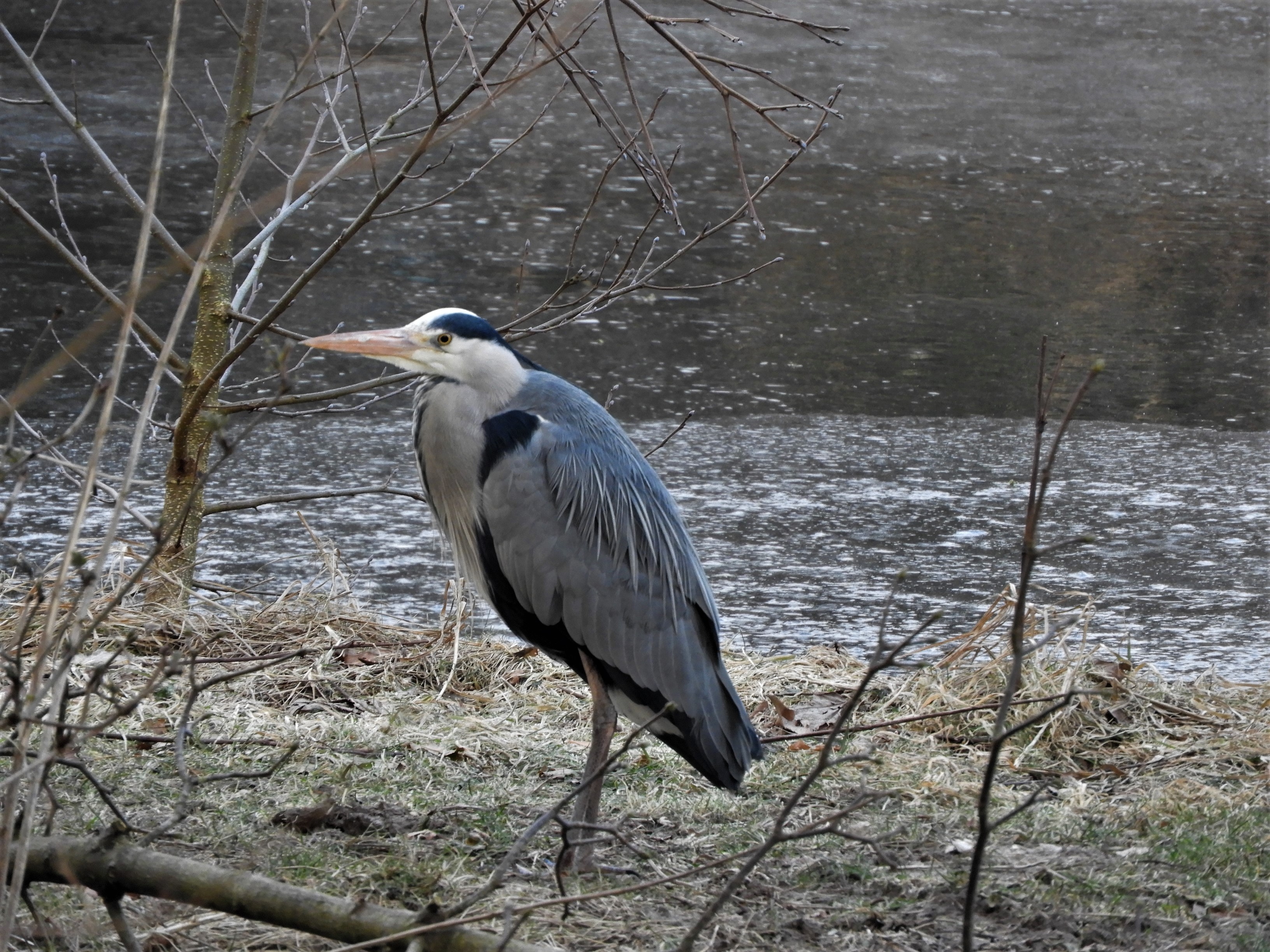 DSCN3271.JPG