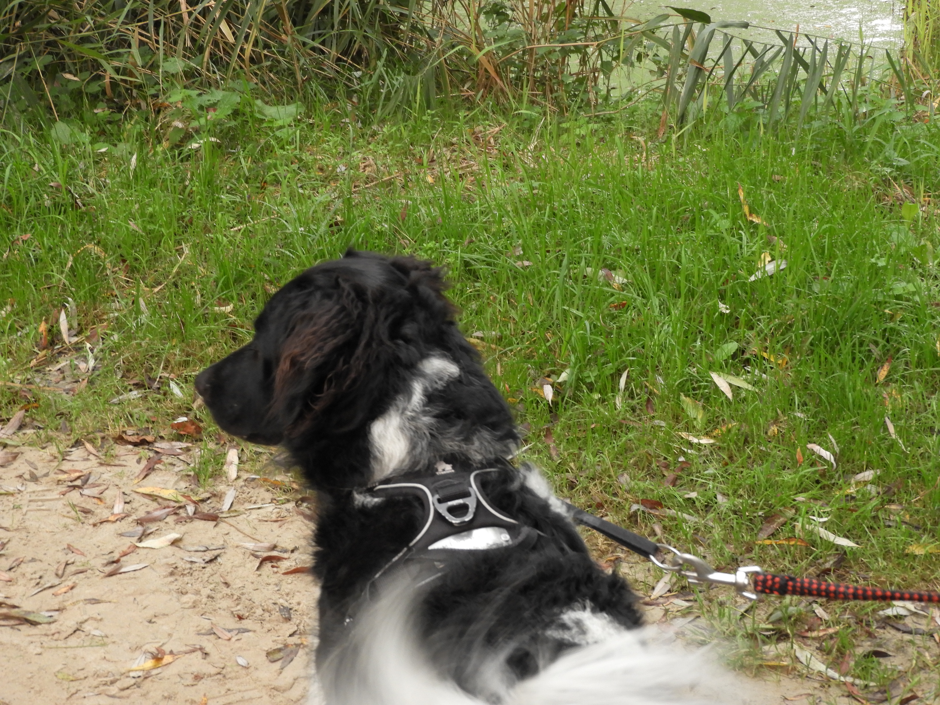 DSCN3326.JPG