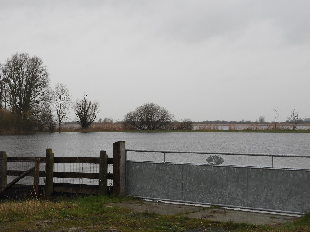 DSCN3557.JPG
