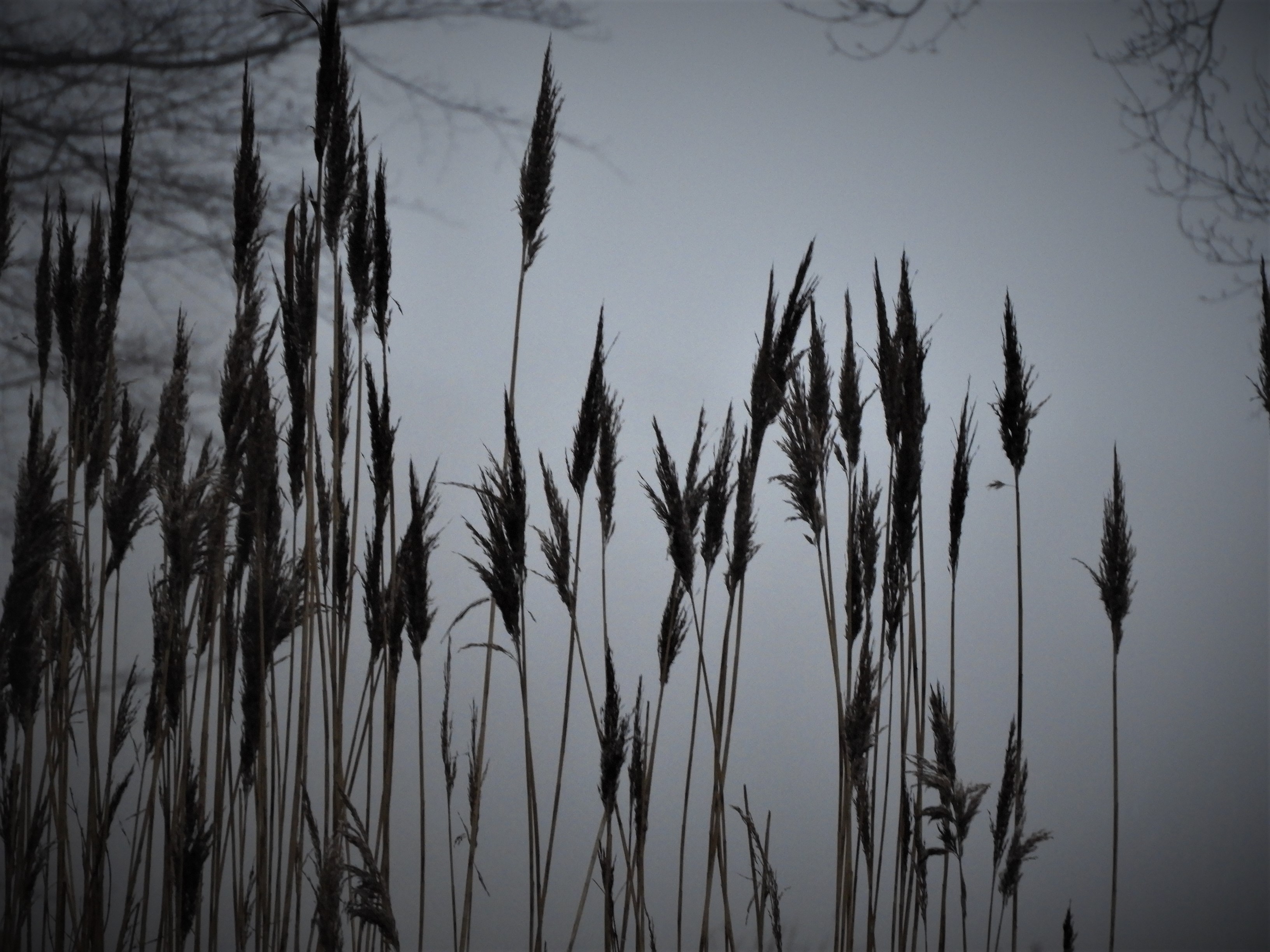 DSCN3828.JPG