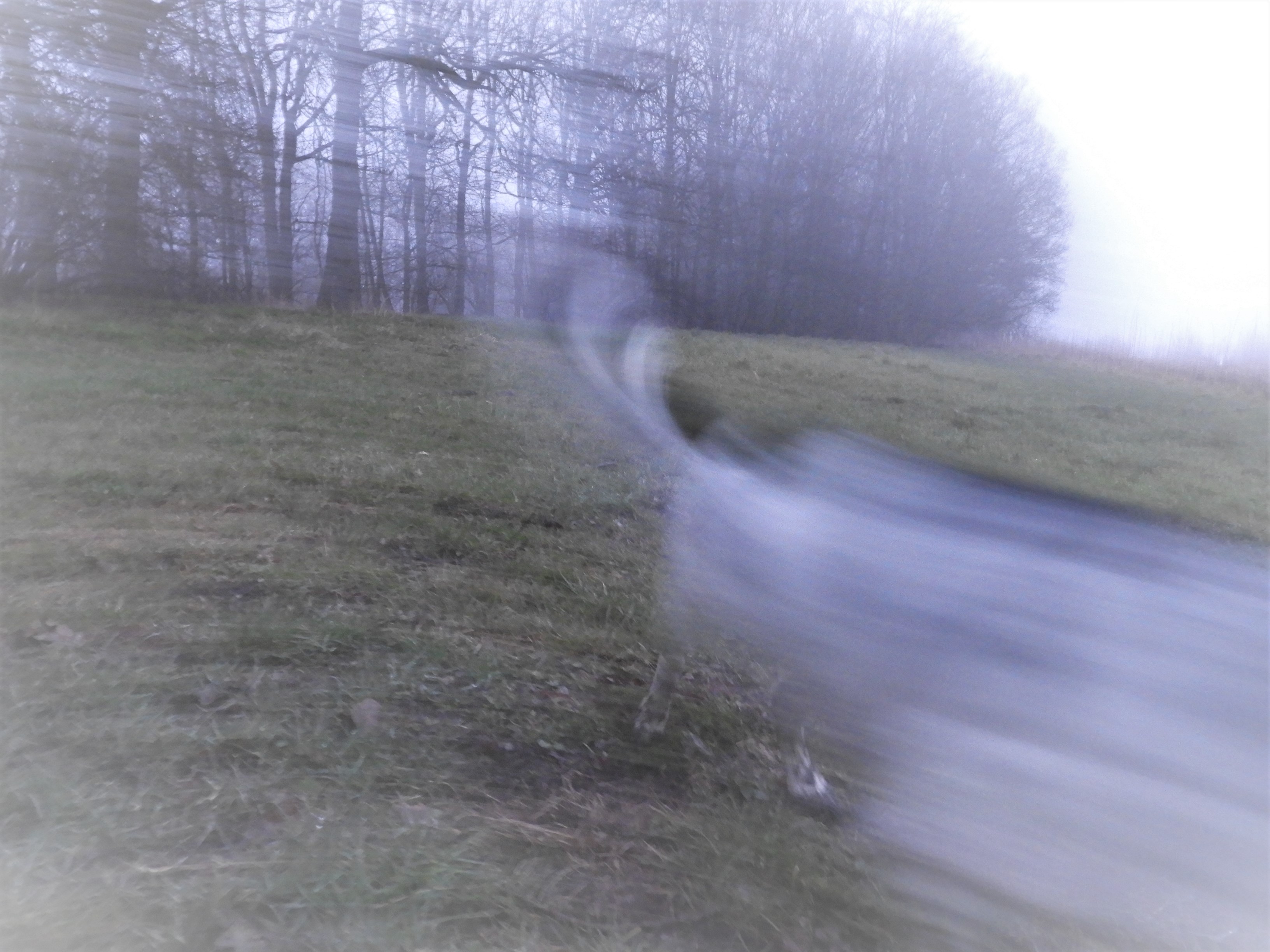 DSCN3839.JPG