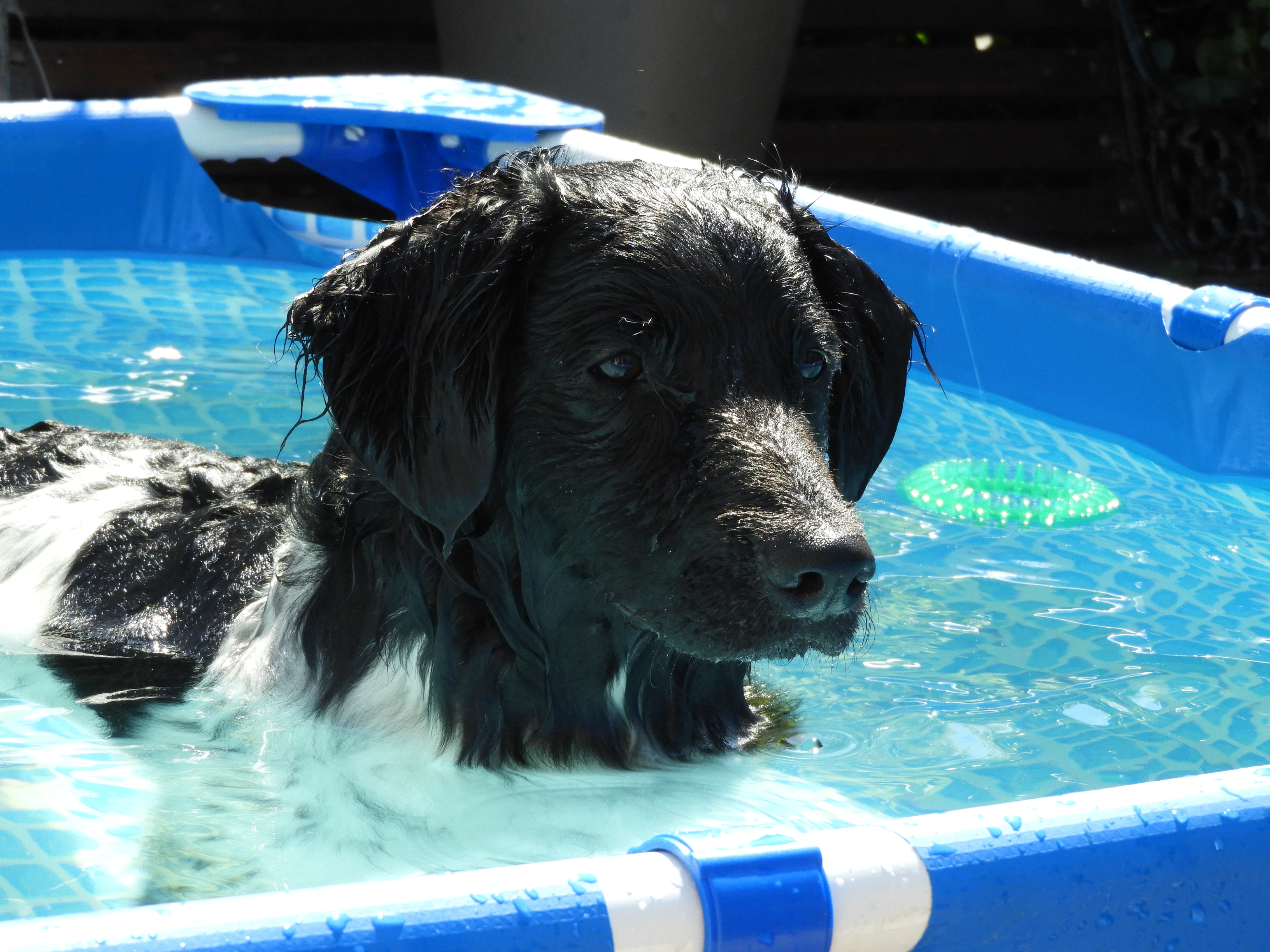 DSCN5590.JPG