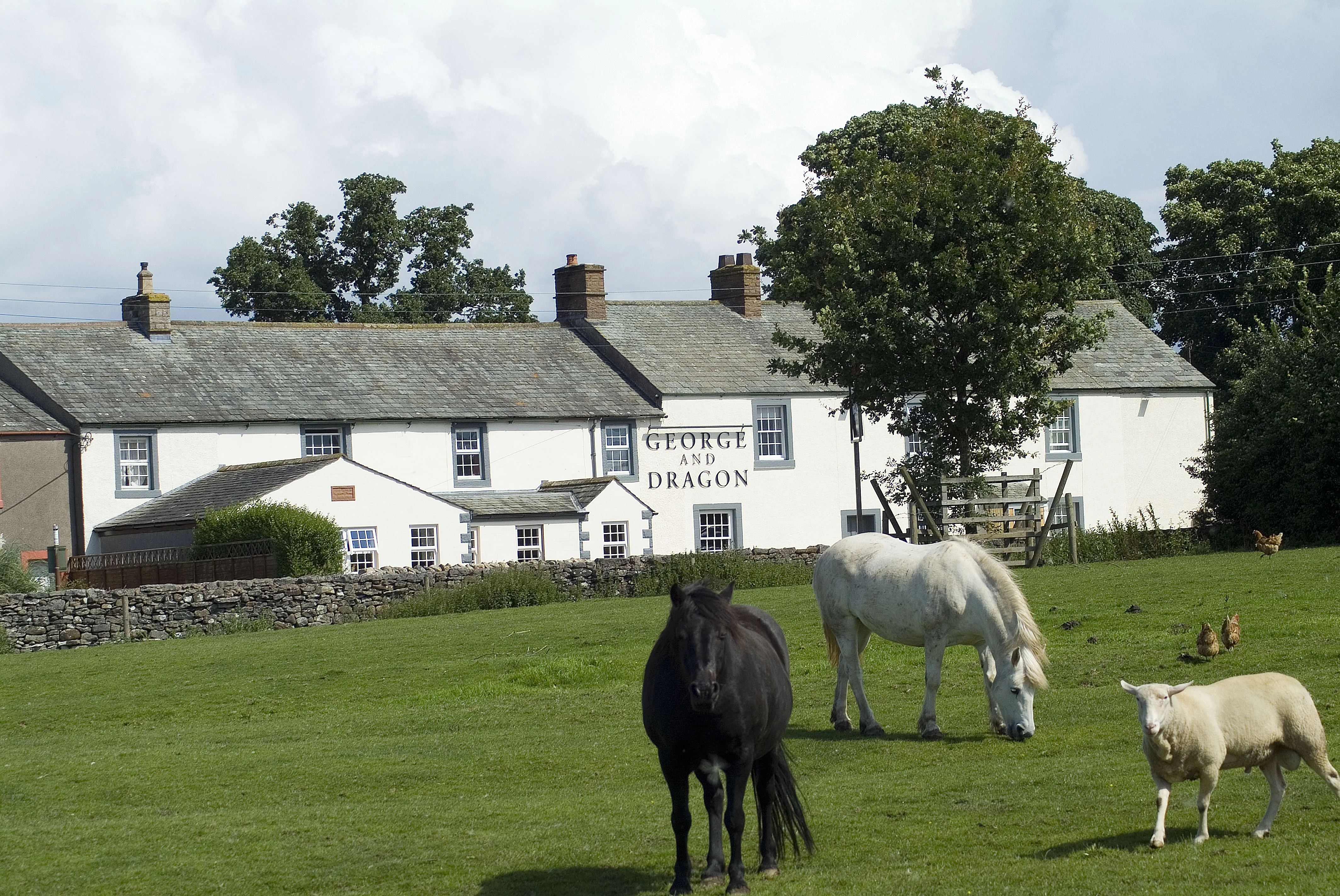 George and Dragon main.webp