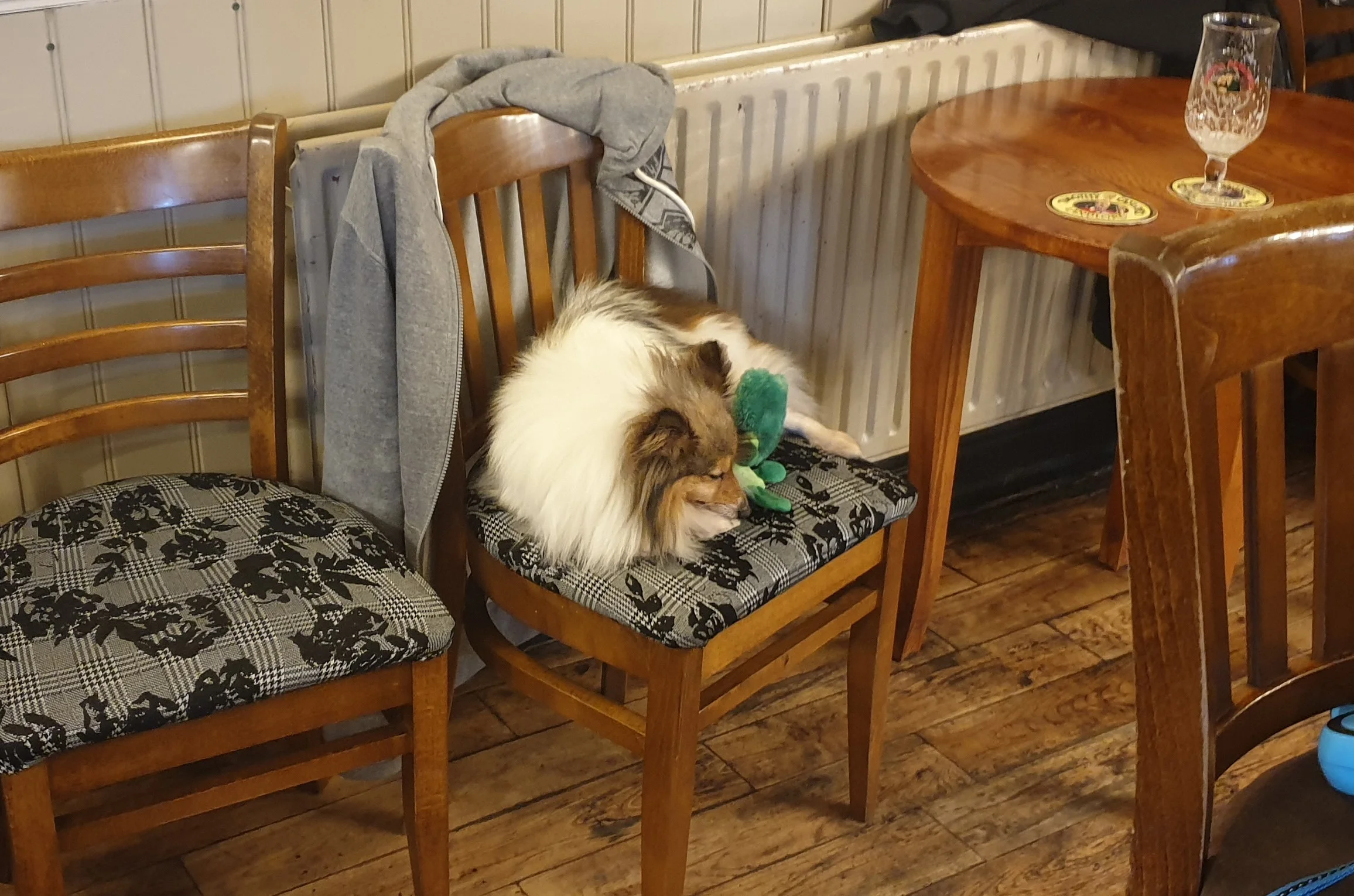 Monty 10.webp