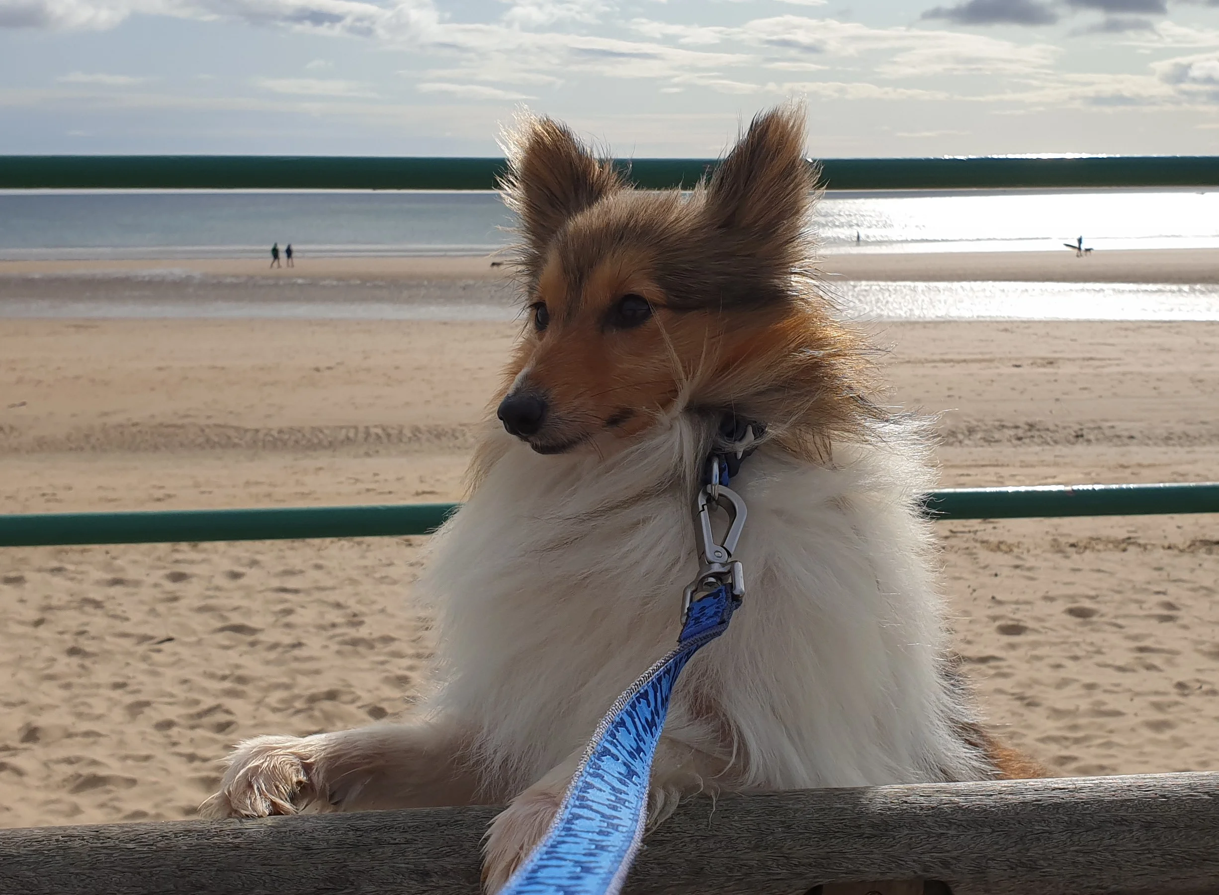 Monty 6.webp