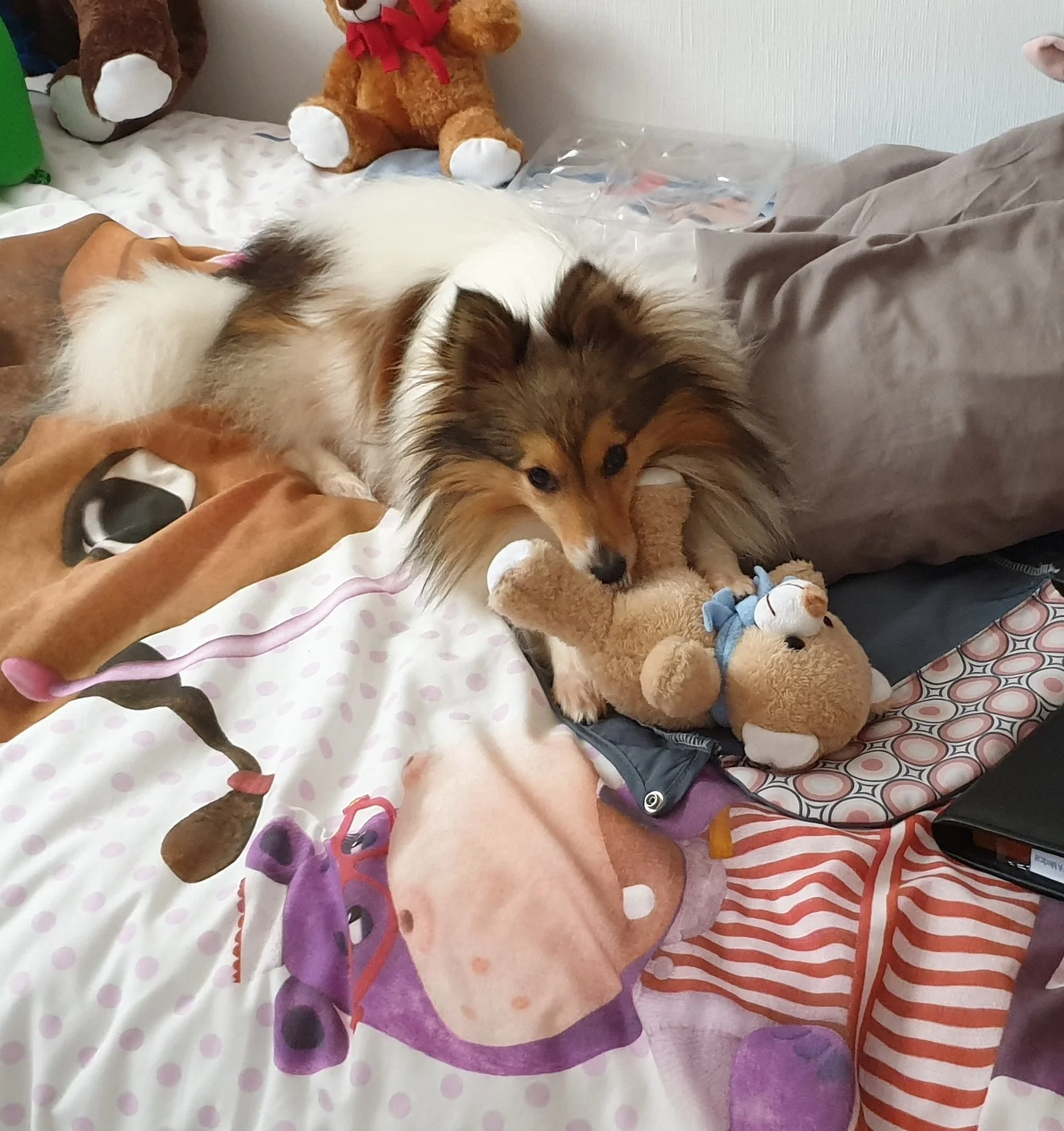 Monty 8.webp