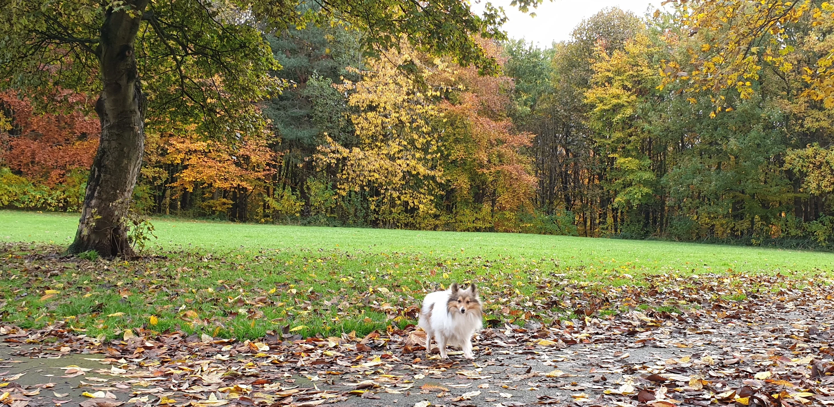 Monty12.webp