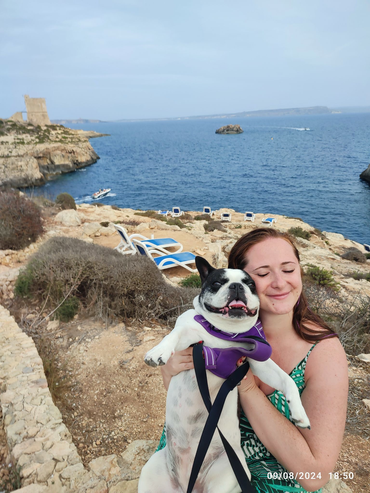 HELP CLOE TO WALK AGAIN!