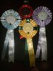 willows_rosettes_1st.JPG