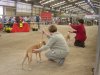 perthopenshow_046.jpg