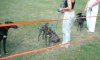08JAY_PARTNER_IN_PAIRS.JPG