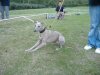 2006_0820Pups0458.JPG