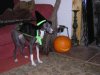 DSCN1713.JPG