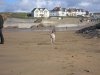 october_06_bude_and_dogs.jpg