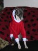 DSCN1758.JPG