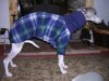 DSCN1647.JPG