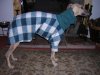 DSCN1648.JPG