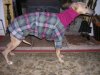 DSCN1650.JPG