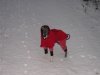 DSCN2001.jpg