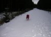 DSCN2010.jpg