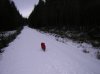 DSCN2008.jpg