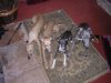 DSCN1998.jpg