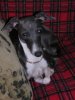DSCN2193.jpg