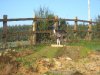 DSCN2229.jpg
