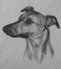 Reggie_charcoal_portrait_003.jpg