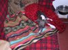 DSCN2373.jpg