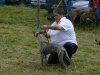 anaghmore_sshow_023.jpg