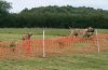 anaghmore_sshow_020.jpg