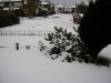 snow_009.jpg