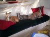 100_0481_1_.jpg