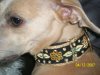 100_0570_1_.jpg