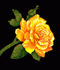 rose5.gif