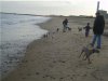 play_time_at_beach.jpg