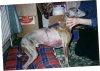 post_2_1105455422.jpg