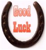 Good_luck_horse_shoe.jpg