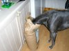 Caught_In_The_Act.___Copy3.jpg